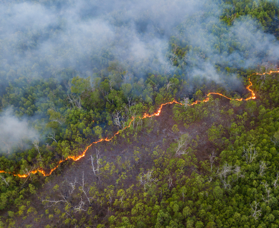 Importancia de los depósitos contra incendios